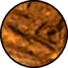 ES4