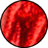 ES5