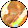PE2