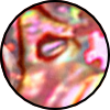 PE5