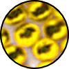 S10