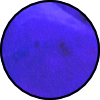 TR8